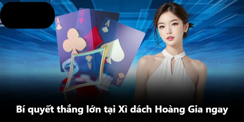 Bí quyết thắng lớn tại Xì dách Hoàng Gia ngay