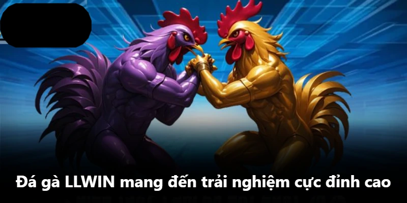 Đá gà LLWIN mang đến trải nghiệm cực đỉnh cao Đá gà LLWIN mang đến trải nghiệm cực đỉnh cao