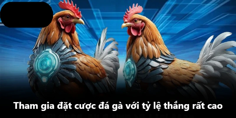 Tham gia đặt cược đá gà với tỷ lệ thắng rất cao Tham gia đặt cược đá gà với tỷ lệ thắng rất cao